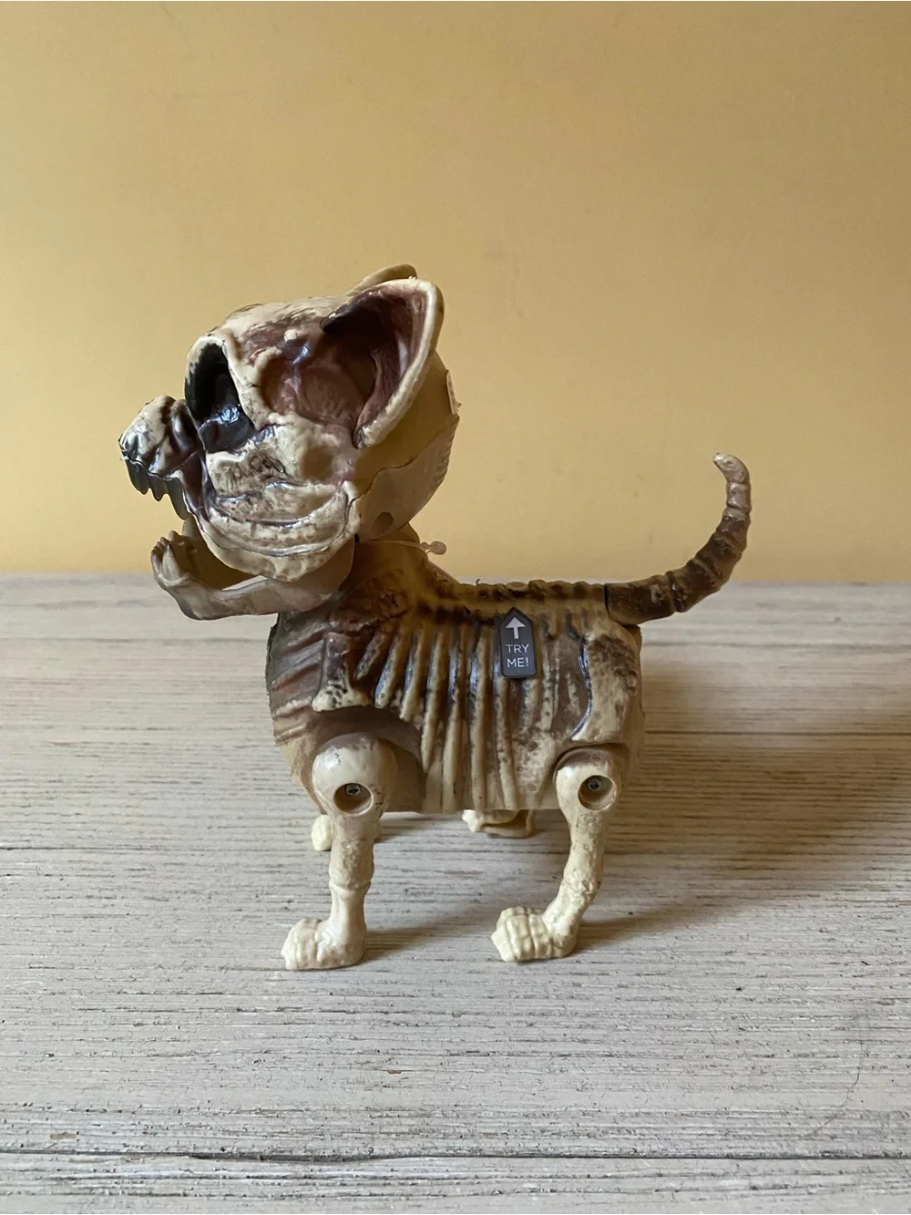 Home Accents Grave & Bones Animated Skeleton Dog